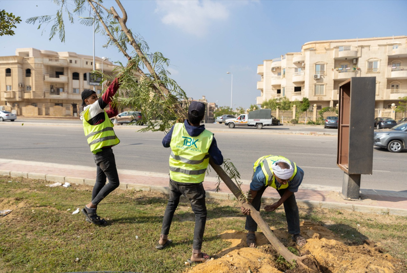 TBK للتطوير العقاري تشارك في أعمال تشجير المحاور الرئيسية بالقاهرة الجديدة